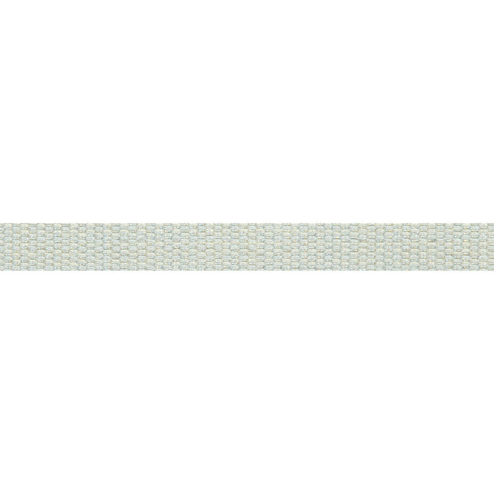 Le Lin Micro Tape Spa by Europatex Designer Fabric Le Lin 63% Linen, 37% Rayon 0.56 inches - Swanky Fabrics -