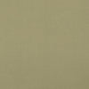 29 Park Fabric A1225-42 Lennon Spearmint