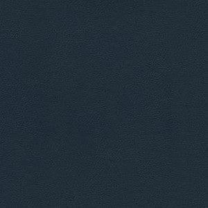 Enduratex Fabric Liberty Academy Blue