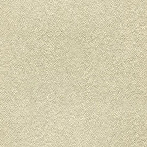 Enduratex Fabric Liberty Adobe