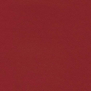 Enduratex Fabric Liberty American Beauty
