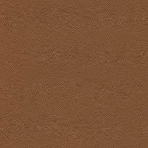 Enduratex Fabric Liberty Brown Sugar