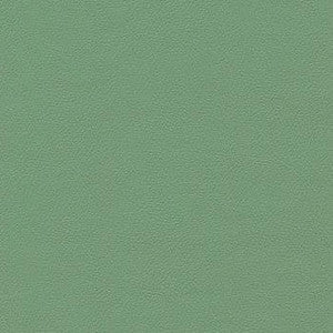 Enduratex Fabric Liberty Celedon Green