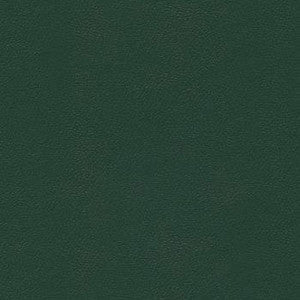 Enduratex Fabric Liberty Forest Green