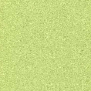 Enduratex Fabric Liberty Light Lime