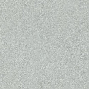 Enduratex Fabric Liberty Platinum