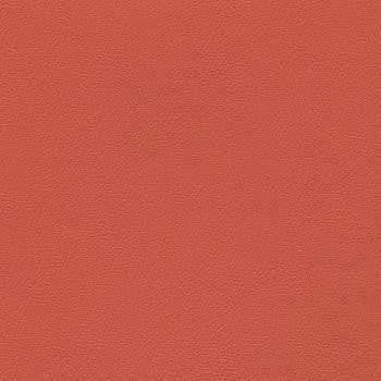 Liberty Rosetan by Enduratex Designer Fabric See sample 100% Vinyl  100000 Horizontal: Not Applicable and Vertical: Not Applicable 54"  - Swanky Fabrics -