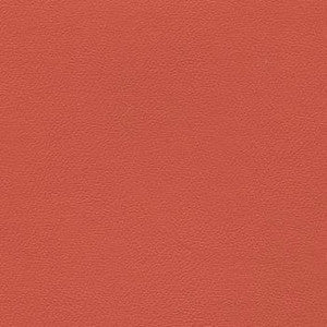 Enduratex Fabric Liberty Rosetan