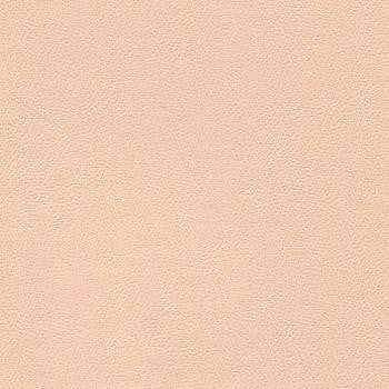 Liberty Shell by Enduratex Designer Fabric See sample 100% Vinyl  100000 Horizontal: Not Applicable and Vertical: Not Applicable 54"  - Swanky Fabrics -