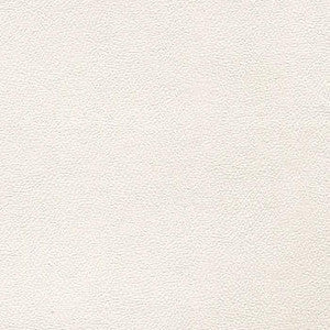 Enduratex Fabric Liberty Snow White