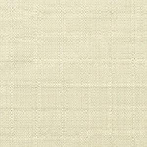 Sunbrella Fabric 8353 Linen Canvas