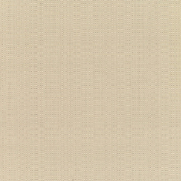 8300  Champagne Linen by Sunbrella Designer Fabric our website for purchase 100% Sunbrella Acrylic USA (see sample) n/a 54"  - Swanky Fabrics -