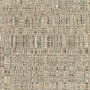 Sunbrella Fabric 8319 Linen Stone