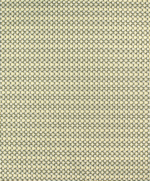 Wiscasset 52114 by Barrow  Designer Fabric Barrow Gallery 100% Polyester (S) China 36,000 Double Rubs </p><p>Repeat: Horizontal: 5/8" and Vertical: 5/8" 57"  - Swanky Fabrics -