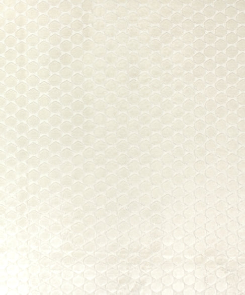 Ditty 11001 M11583 by Barrow Industries Designer Fabric