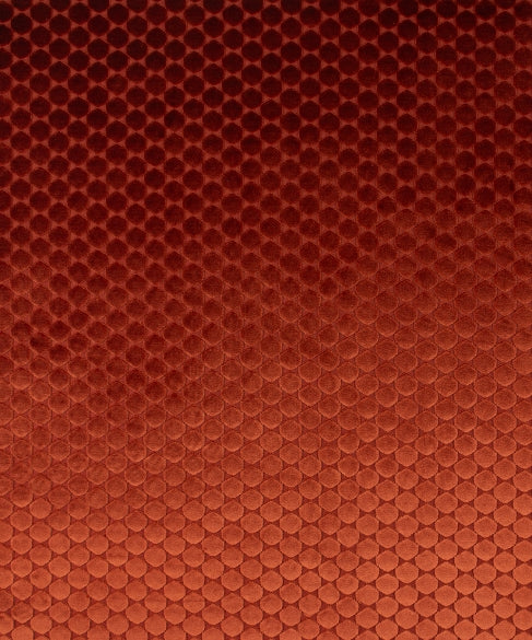 Ditty 11606 M11583 by Barrow Industries Designer Fabric