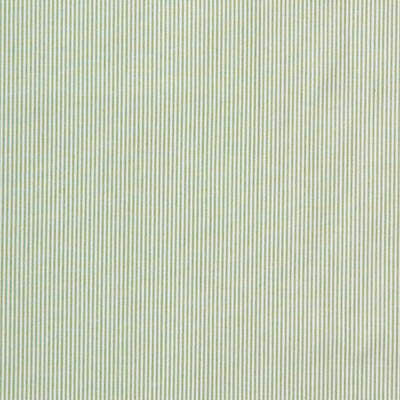 Pinstripe Light Green by Parkertex Designer Fabric LAURA ASHLEY COLLECTION COTTON - 100% Portugal HEAVY Horizontal: 0 and Vertical: 0 54 - Swanky Fabrics -