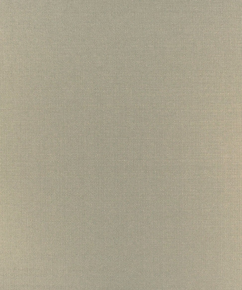 M9134 5884 by Barrow  Designer Fabric Barrow Gallery 52% Polyester Filament-Textured, 48% Polyester Filament Non-Textured China 30,000 Double Rubs </p><p>Repeat: Horizontal:  and Vertical:  58"  - Swanky Fabrics -