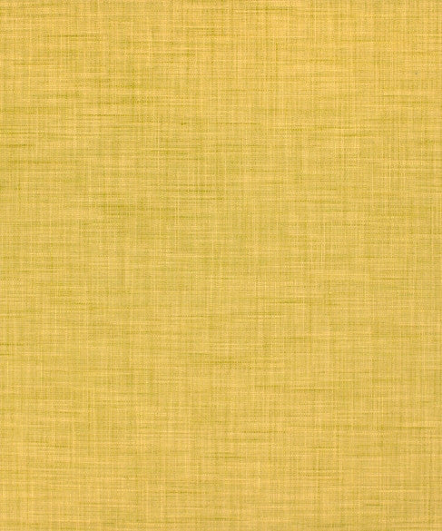 Ansonia 51302 by Barrow  Designer Fabric Barrow Gallery 56% Rayon (S), 23% Polyester (F), 21% Cotton China 75,000 Double Rubs </p><p>Repeat: Horizontal:  and Vertical:  58"  - Swanky Fabrics -