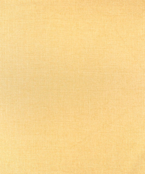 M9871 51205 by Barrow  Designer Fabric Barrow Gallery 76% Polyester (F), 24% Polyester (S) China 50,000 Double Rubs </p><p>Repeat: Horizontal:  and Vertical:  57"  - Swanky Fabrics -