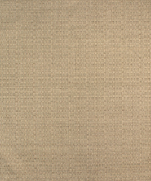 M9973 51103 by Barrow  Designer Fabric Barrow Gallery 95% Polyester (S), 5% Polyester (F) China 30,000 Double Rubs </p><p>Repeat: Horizontal:  and Vertical:  57"  - Swanky Fabrics -