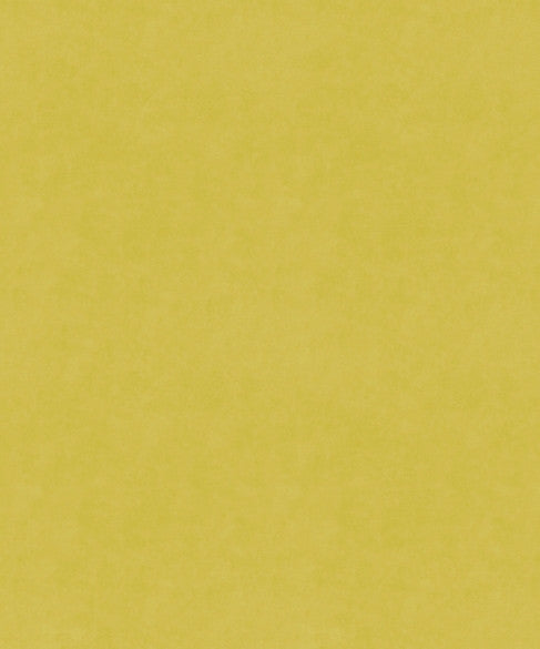 Counterpoint 51205 by Barrow  Designer Fabric Barrow Gallery 100% Polyester Knit Pile Fabric China 30,000 Double Rubs </p><p>Repeat: Horizontal:  and Vertical:  57"  - Swanky Fabrics -