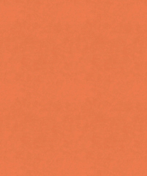 M9989 51505 by Barrow  Designer Fabric Barrow Gallery 100% Polyester Knit Pile Fabric China 30,000 Double Rubs </p><p>Repeat: Horizontal:  and Vertical:  57"  - Swanky Fabrics -