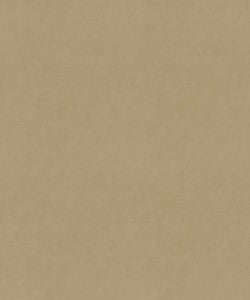 Barrow Fabric Counterpoint 51101