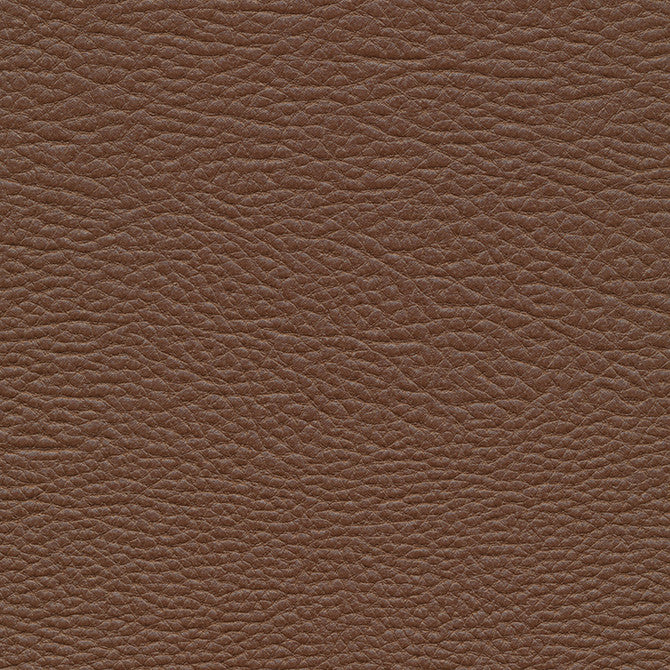 Meadowland-Nj # 962 Hut by Maxwell Designer Fabric Memos Only-Coated Fabrics FACE: 98% POLYESTER
2% SILICONE KOREA 54" - Swanky Fabrics -
