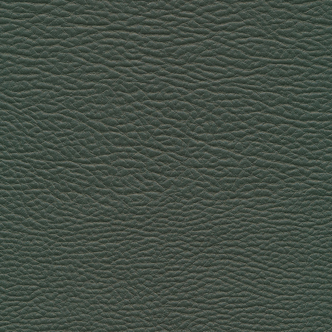 Meadowland-Nj # 964 Evergreen by Maxwell Designer Fabric Memos Only-Coated Fabrics FACE: 98% POLYESTER
2% SILICONE KOREA 54" - Swanky Fabrics -