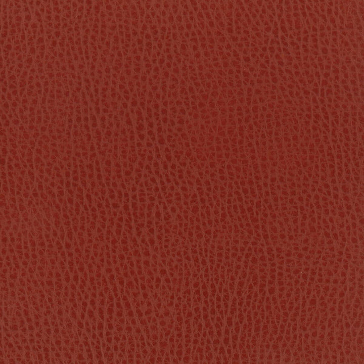 Madden 1 Spice by Stout Designer Fabric LEATHER LOOKS II 100%OTH 9%OTH CHINA FLAME RETARDANT-U.F.A.C. CLASS 1 FLAME RETARDANT-N.F.P.A. 260A CLASS 1 CATB 117-2013 WYZENBEEK 100 000 DOUBLE RUB WEAR TEST (HEAVY DUTY) Horizontal: 0 and Vertical: 0 54 in - Swanky Fabrics -