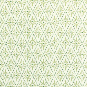 Kravet Fabric Malina Grass