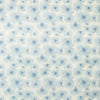 Kravet Fabric Manders Sky