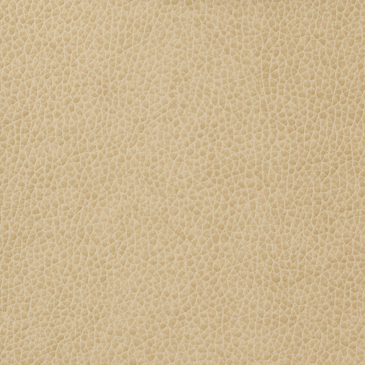 Kravet Basics Matter-1116 by Kravet Basics Fabric Kravet Basics Fabric Kravet Basics Matter-1116Fabric POLYURETHANE - 100% China </p><p>Repeat: H: , V: 54 - Fabric Carolina -