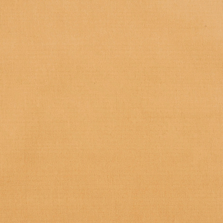 Maverick 12J7031 by JF Crypton Designer Fabric Crypton Binder 100% Polyester China 50000 Horizontal: and Vertical: 54 - Swanky Fabrics -