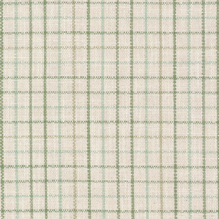 Maximus 3 Aloe by Stout Designer Fabric RAINBOW LIBRARY SAGE/CYPRESS 100%POL CHINA Horizontal: 2.500 and Vertical: 2.500 55 in - Swanky Fabrics -
