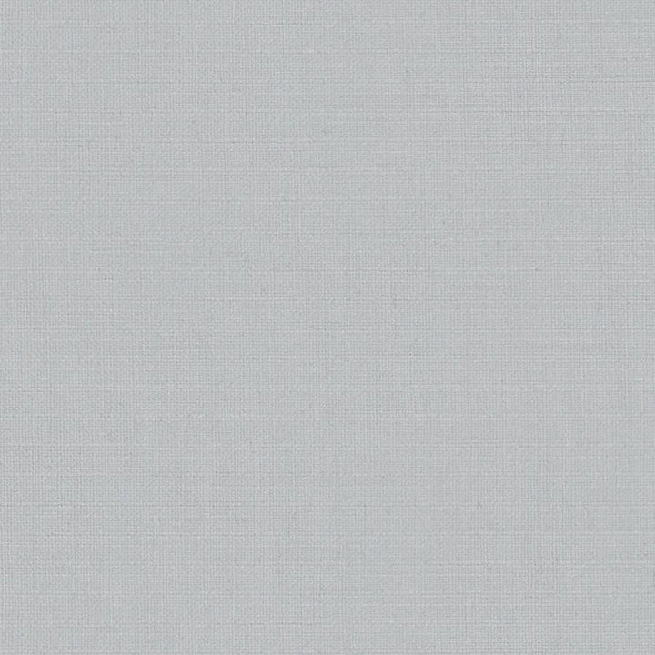 Martina # 105 Mist by Maxwell Designer Fabric Wide Width Basics Iii 100% POLYESTER INDIA 118" - Swanky Fabrics -