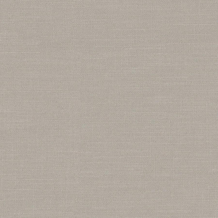 Martina # 167 Travertine by Maxwell Designer Fabric Wide Width Basics Iii 100% POLYESTER INDIA 118" - Swanky Fabrics -