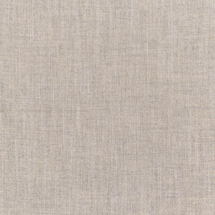 Manitoba # 229 Driftwood by Maxwell Designer Fabric Color Theory-Vol. Ix Marble 100% POLYESTER INDIA 54" - Swanky Fabrics -