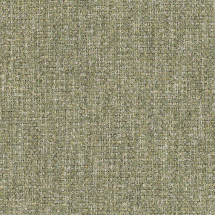 Meridian 1 Grass by Stout Designer Fabric LIVING IS EASY ALOE/MINERAL 100%POL CHINA CATB 117-2013 WYZENBEEK 50 000 DOUBLE RUB WEAR TEST (HEAVY DUTY) Horizontal: 0.000 and Vertical: 0.000 57 in - Swanky Fabrics -