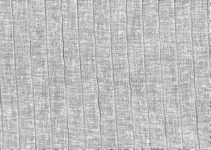 Mesh White by Norbar Designer Fabric SHEER STYLE 100% POLYESTER EUROPE 118 - Swanky Fabrics -