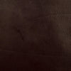 Magnolia Fabric Miles Brown