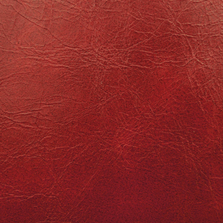 Miles Lipstick by Magnolia Designer Fabric - 100% Pvc China 104,000+ Horizontal: 0 and Vertical: 0 54" - Swanky Fabrics -