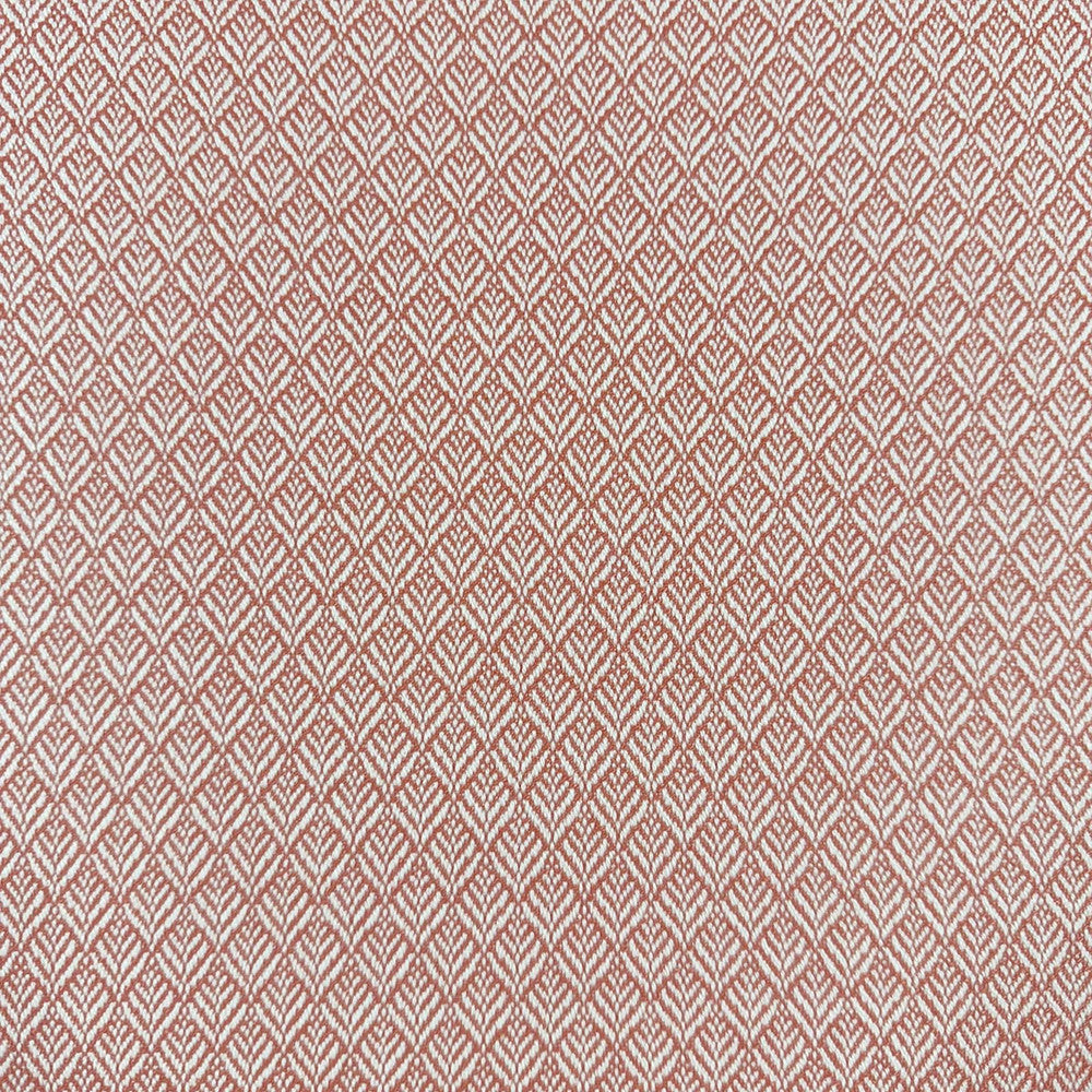 Mimus Punch by Magnolia Designer Fabric - 100% Polyester China 60000 Horizontal: 0.5 and Vertical: 0.75 54 - Swanky Fabrics -