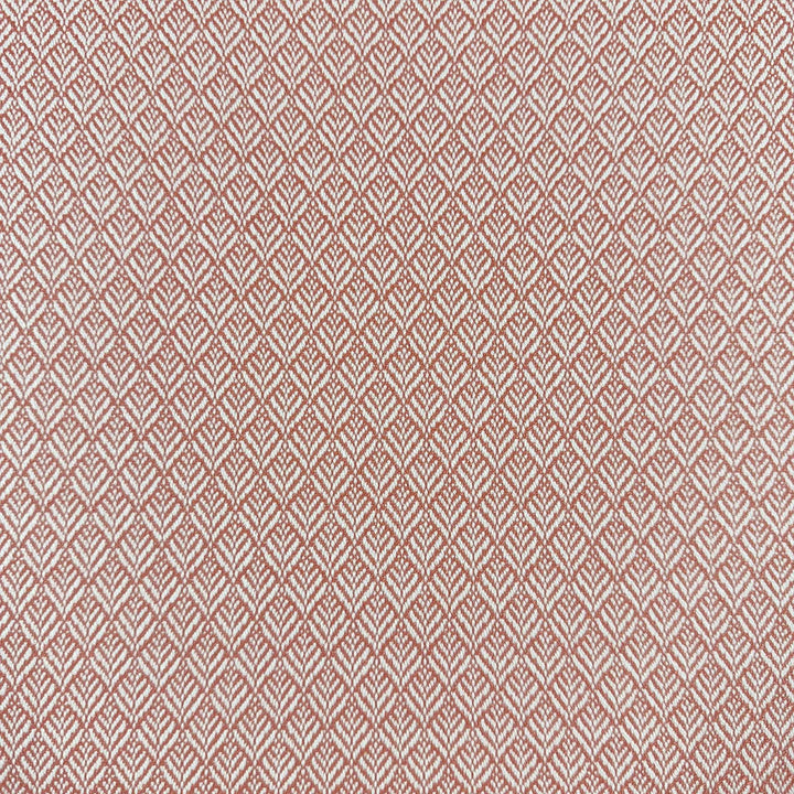 Mimus Punch by Magnolia Designer Fabric - 100% Polyester China 60000 Horizontal: 0.5 and Vertical: 0.75 54 - Swanky Fabrics -