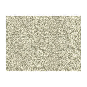 Kravet Fabric Mirrored Image Silver