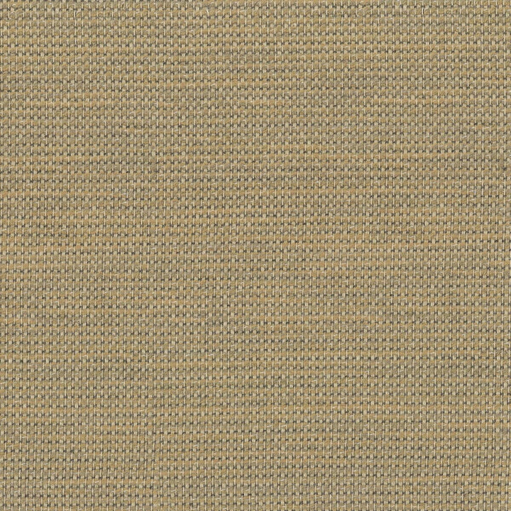 Mitcham 1 Tan by Sunbrella Designer Fabric SUNRISE SOLIDS BY SUNBRELLA 98%SN 2%POL USA FLAME RETARDANT-CA BULLETIN 117-SECTION E WYZENBEEK 15 000 DOUBLE RUB WEAR TEST (HEAVY DUTY) Horizontal: 0 and Vertical: 0 54 in - Swanky Fabrics -