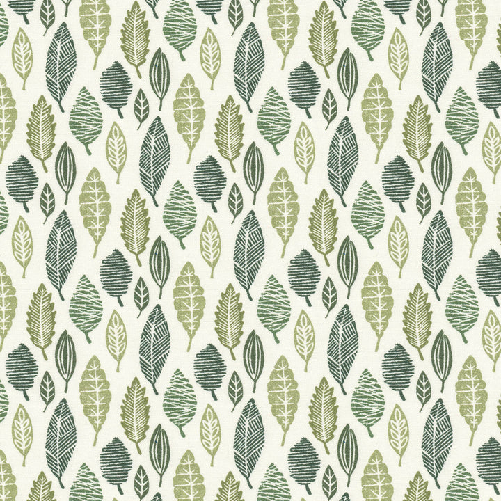 Molecule 2 Grass by Stout Fabric Stout Fabric Molecule 2 GrassFabric RAINBOW LIBRARY PISTACHIO/CHIVE 100%COT SPAIN </p><p>Repeat: H: 3.375, V: 6.750 54 in - Fabric Carolina -