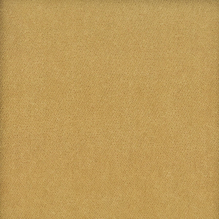 Moore 1 Caramel by Stout Designer Fabric TIMELESS VELVETS 82%POL 18%COT SOUTH KOREA FLAME RETARDANT-N.F.P.A. 260A CLASS 1 CATB 117-2013 WYZENBEEK 100 000 DOUBLE RUB WEAR TEST (HEAVY DUTY) Horizontal: 0.000 and Vertical: 0.000 54.75 in - Swanky Fabrics -