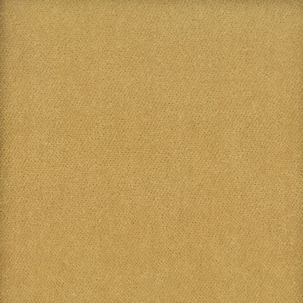 Moore 1 Caramel by Stout Fabric Stout Fabric Moore 1 CaramelFabric TIMELESS VELVETS 82%POL 18%COT SOUTH KOREA </p><p>Repeat: H: 0.000, V: 0.000 54.75 in - Fabric Carolina -
